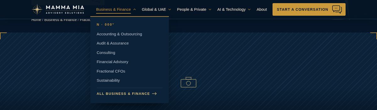 Slim sticky header with the Business & Finance dropdown open, showing its six services